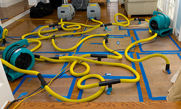 Professional Water Damage Repair technician working in Rockville, RI